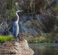 CCC Ponds Recreation Area