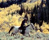 Fall Ride - A rider enjoys a beautiful fall day on a day ride near Skyline Drive, above Fremont Lake.