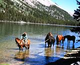 Horse Packing - The Pinedale area has many guest ranches that offer horse-packing services into the Wind River Mountains.
