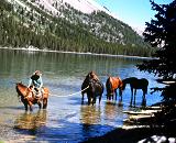 Horse Packing in the Wind River Range