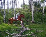 Aspen Ride - A young rider on a trail between Soda Lake and Fremont Lake.