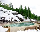 Granite Hot Springs Pool