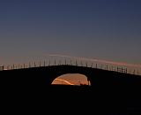 Path of the Pronghorn - Two wildlife highway overpasses to prevent vehicle collisions at the crossings of the ancient migration route